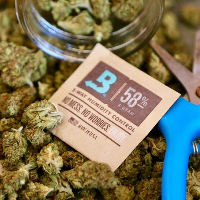 BOVEDA 62% 8g saszetka regulator wilgotności susz