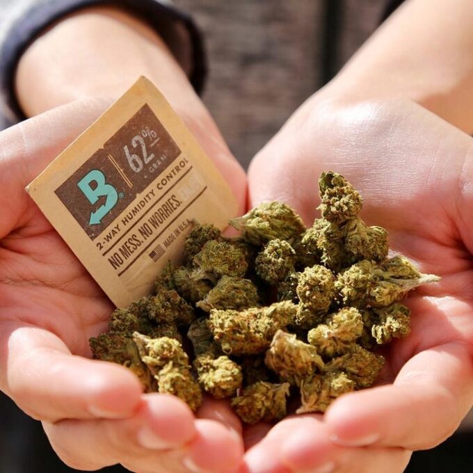 BOVEDA 62% 8g saszetka regulator wilgotności susz